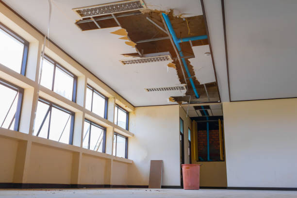 Best Ceiling water damage repair  in Maud, TX