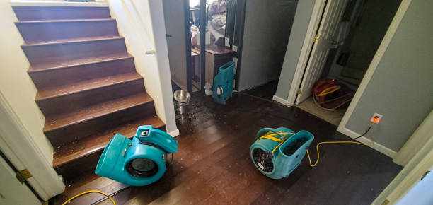 Carpet water damage restoration in Maud, TX