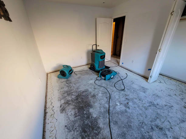 Best Emergency water damage restoration  in Maud, TX