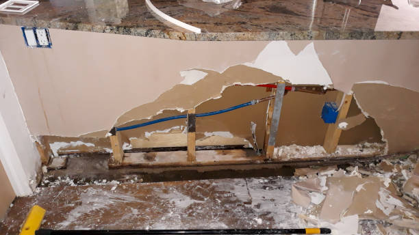 Best Professional water damage repair  in Maud, TX