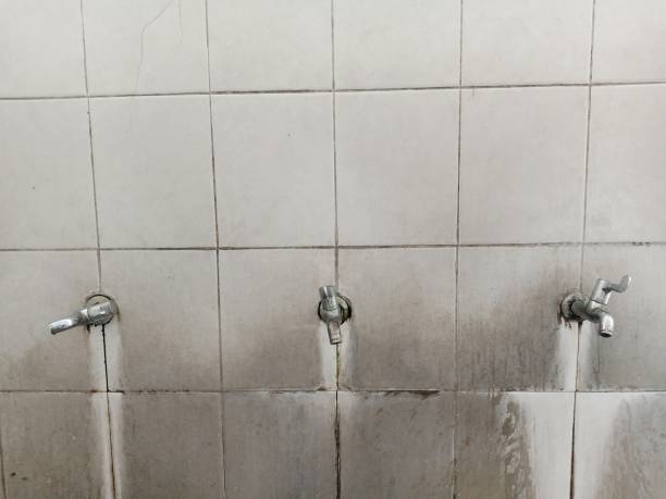 Best Mold removal after water damage  in Maud, TX