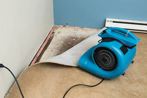  Maud, TX Water damage restoration Pros